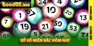 Xổ Số Miền Bắc Hôm Nay Cập Nhật Kết Quả Nhanh Chóng 2 Tìm hiểu cách kiểm tra kết quả xổ số miền Bắc hôm nay